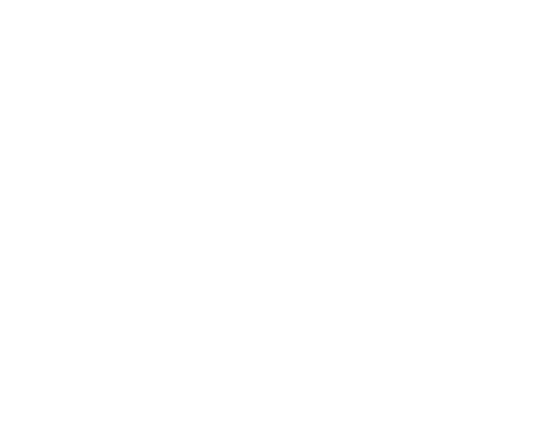 The Belmont Park Logo Image